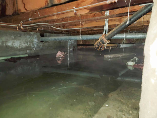 Fairview, NY Water damage restoration Company