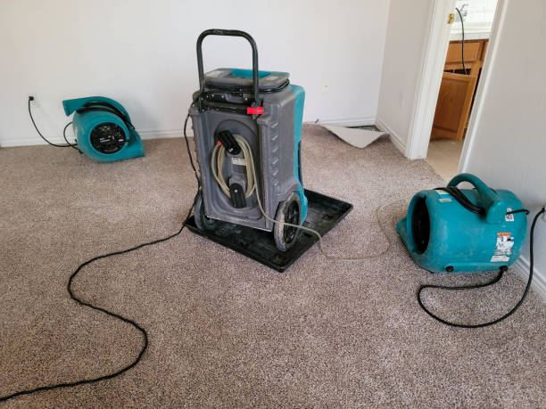Best Flood damage cleanup  in Fairview, NY