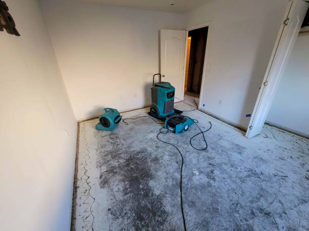 Best Water damage contractors near me  in Fairview, NY