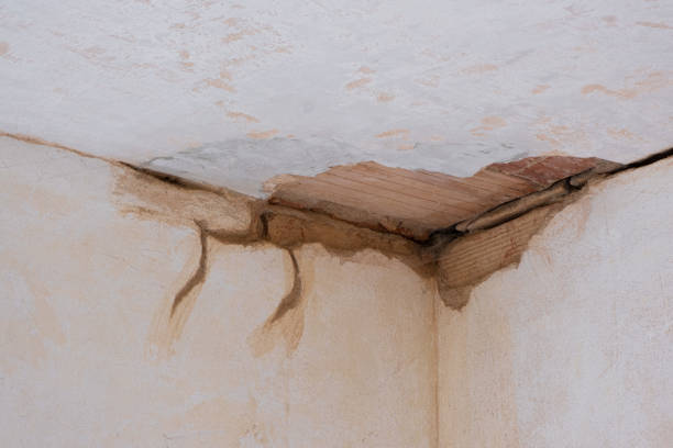 Best 24/7 water damage repair  in Fairview, NY