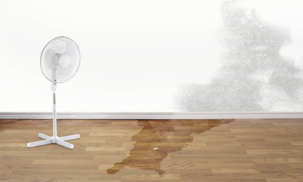  Fairview, NY Water damage restoration Pros