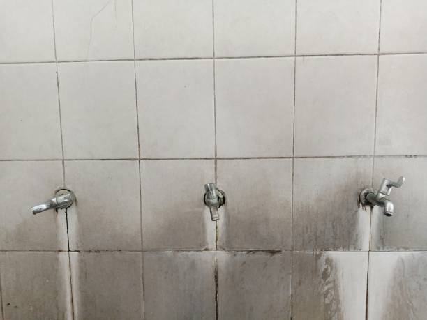 Best Flood restoration services  in Fairview, NY