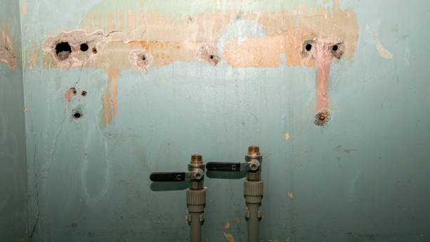 Best Sewage cleanup and water damage restoration  in Fairview, NY
