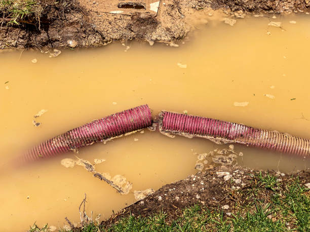 Best Flood damage cleanup  in Fairview, NY